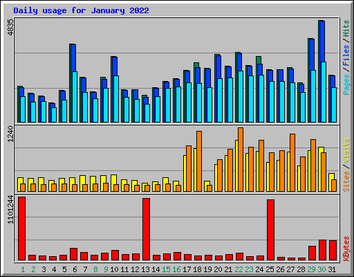 Daily usage for January 2022