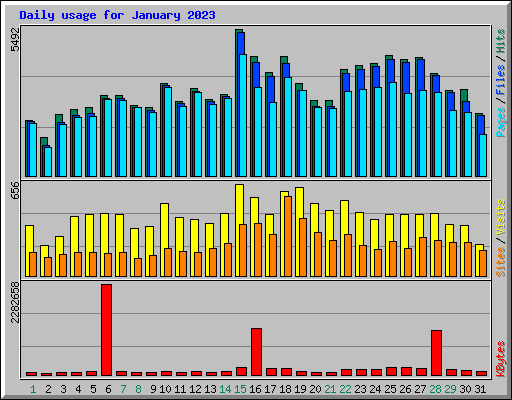 Daily usage for January 2023