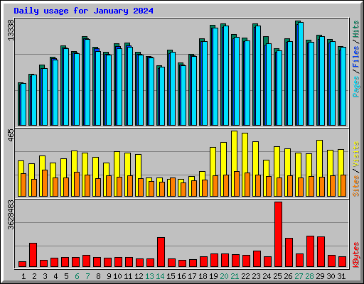 Daily usage for January 2024