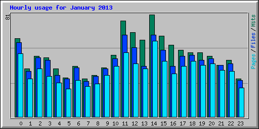 Hourly usage for January 2013