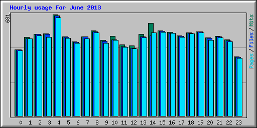 Hourly usage for June 2013