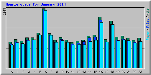 Hourly usage for January 2014