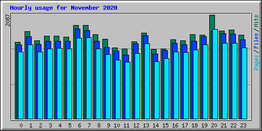 Hourly usage for November 2020