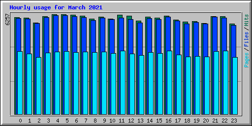 Hourly usage for March 2021