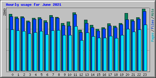 Hourly usage for June 2021