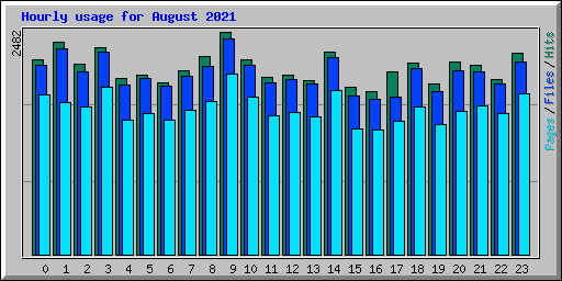 Hourly usage for August 2021