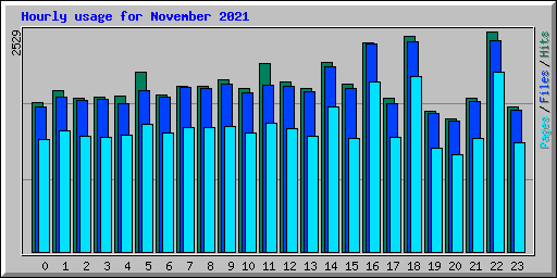 Hourly usage for November 2021