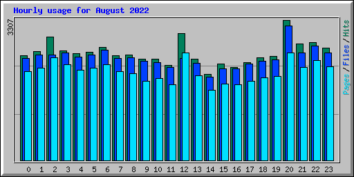 Hourly usage for August 2022