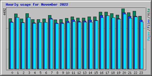 Hourly usage for November 2022