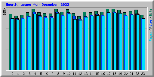 Hourly usage for December 2022