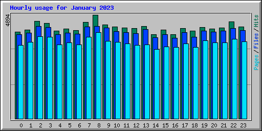 Hourly usage for January 2023