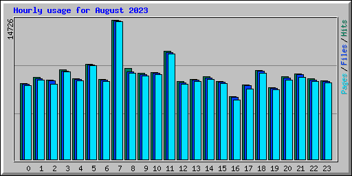 Hourly usage for August 2023