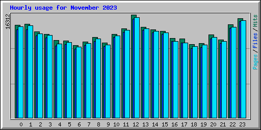 Hourly usage for November 2023