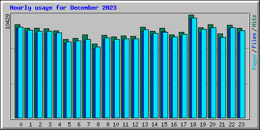 Hourly usage for December 2023