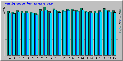 Hourly usage for January 2024