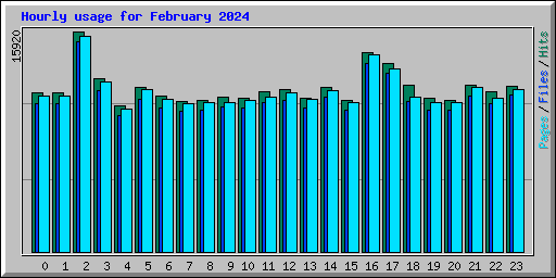 Hourly usage for February 2024