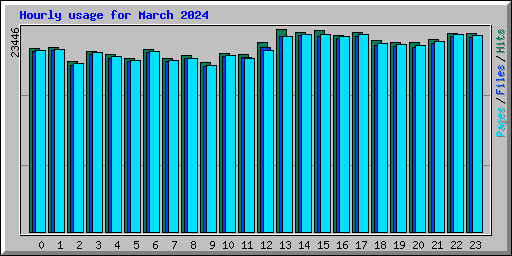 Hourly usage for March 2024