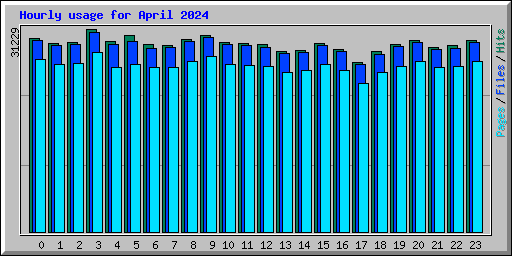 Hourly usage for April 2024