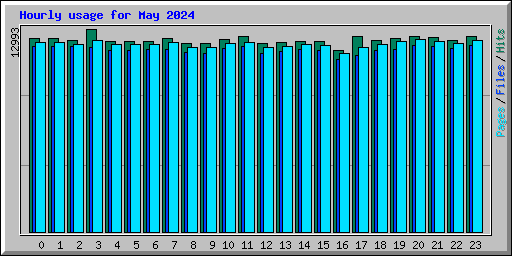 Hourly usage for May 2024